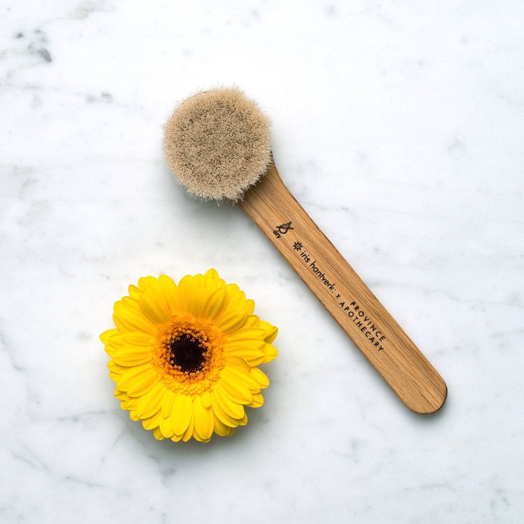 Daily Glow Facial Dry Brush