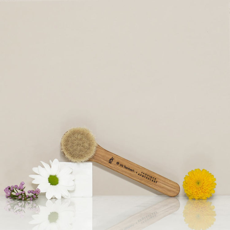 Daily Glow Facial Dry Brush