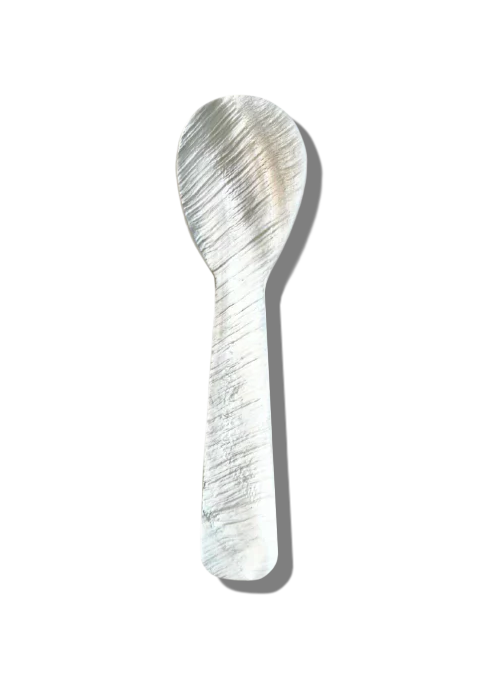 Mother of Pearl Shell Spoon