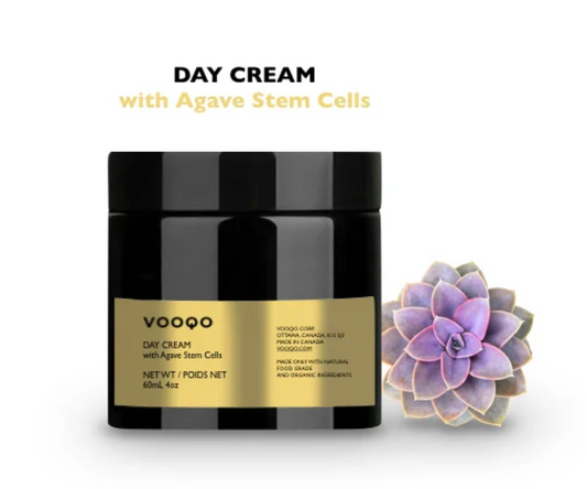 Day Cream - SPF 25+