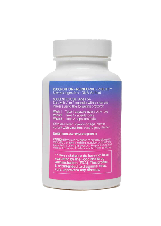 MegaSporeBiotic™: Spore-Based Probiotic Supplement